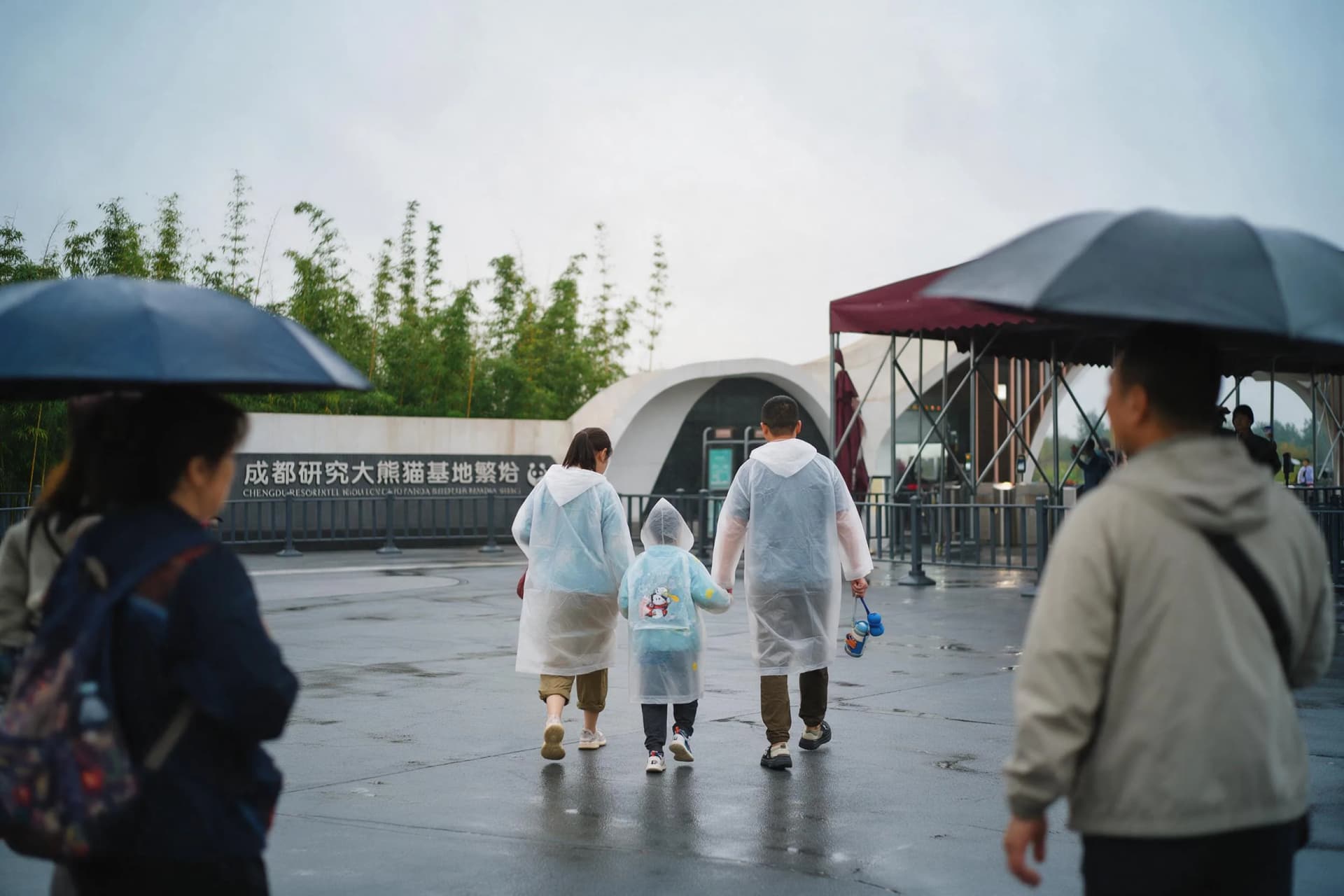 Chengdu Best Time to Visit 2026