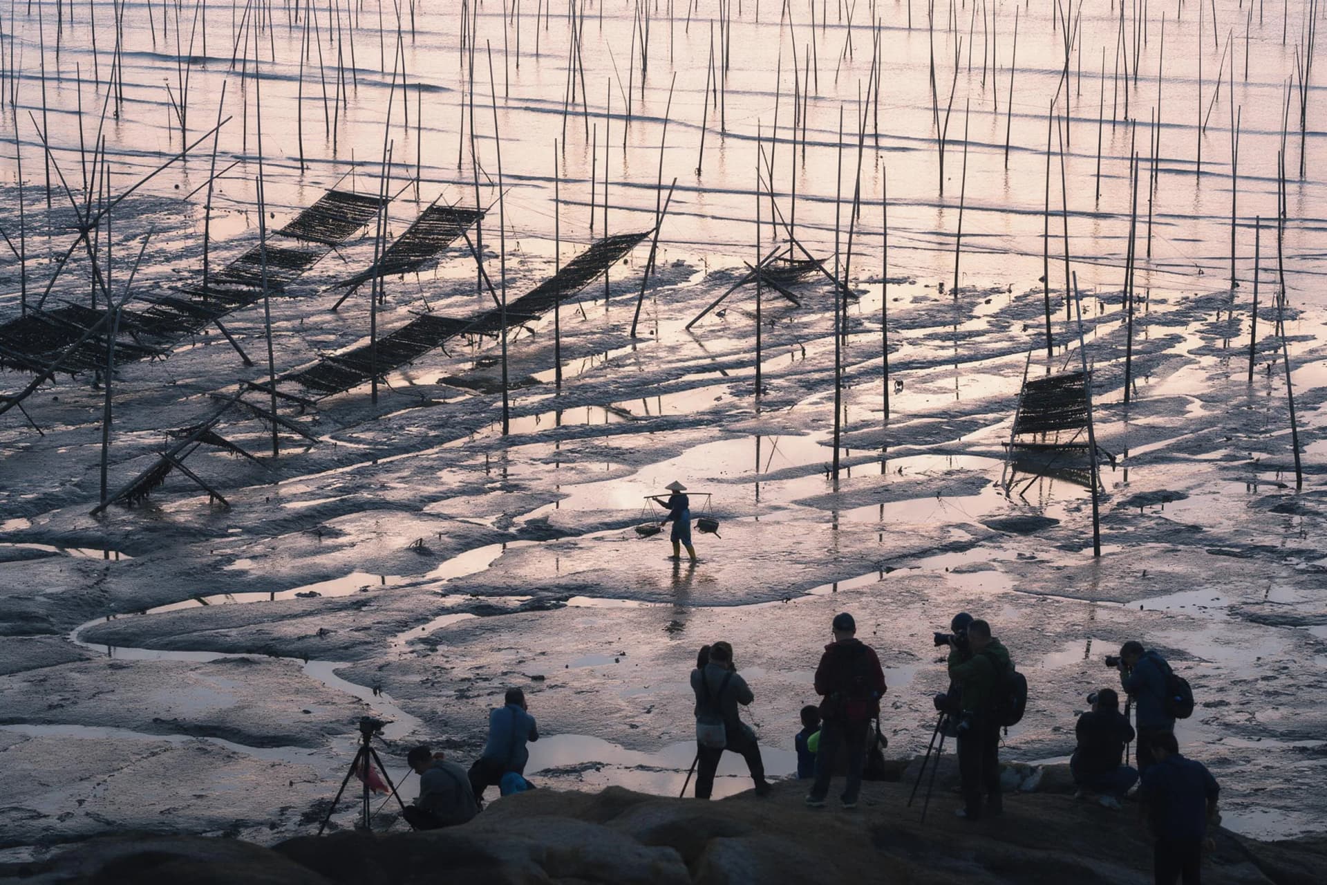 Is Xiapu Mudflats at Dawn Worth the 4:30 a.m. Alarm in 2026?