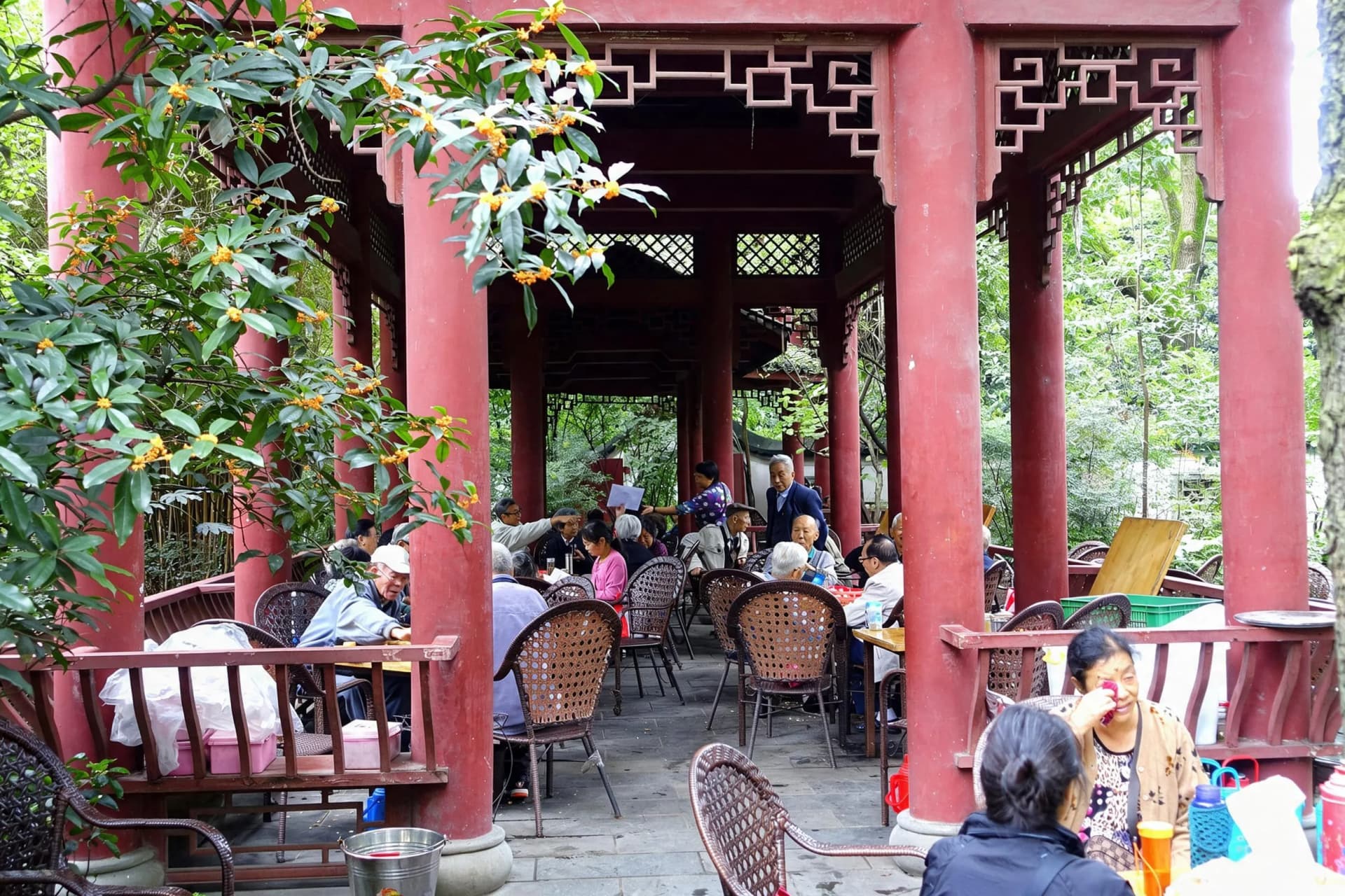 Singapore travelers planning a China journey, original documentary travel photograph